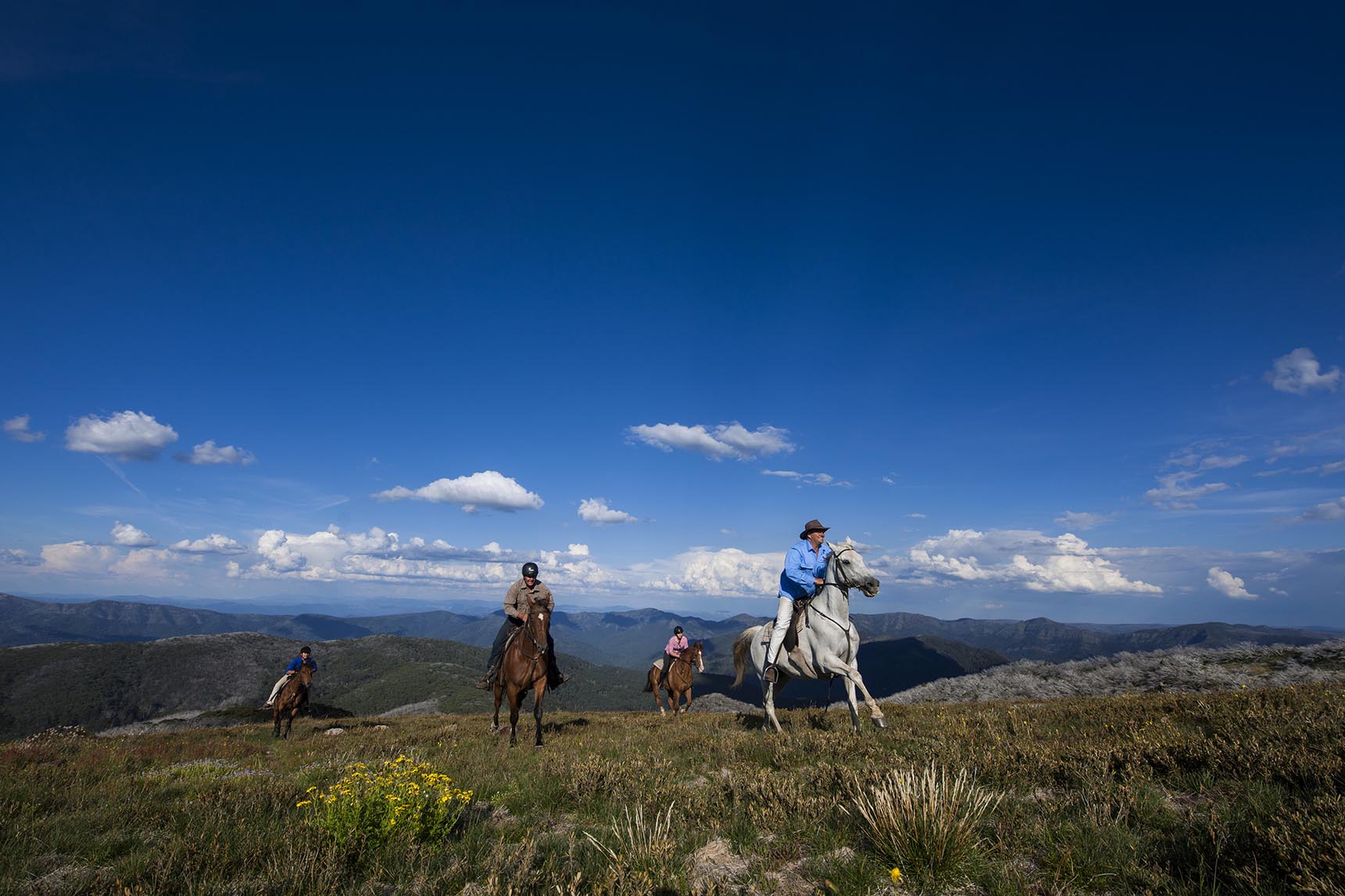 Short rides for the whole family Watsons Trail Rides