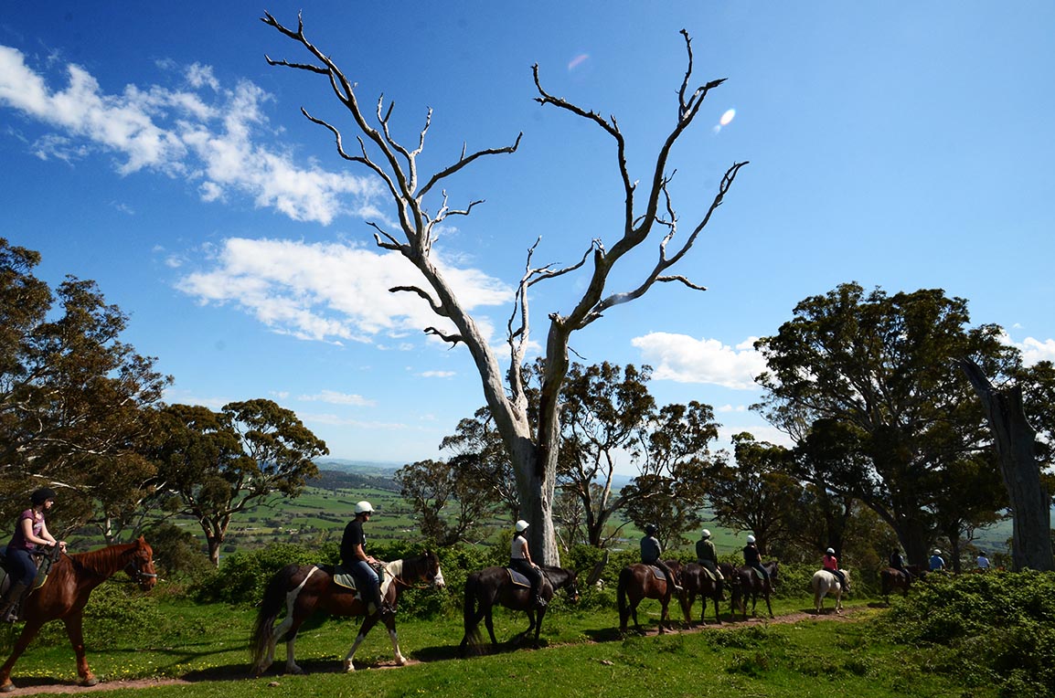 BOOKED OUT - CAMP HOWQUA SCHOOL RIDES - Watsons Mountain Country Trail ...